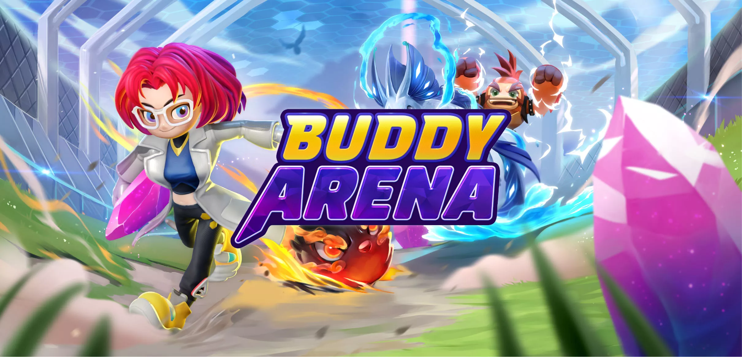 Visuel du projet Buddy Arena